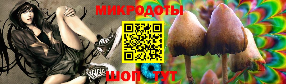 Псилоцибиновые грибы Cubensis  Вход с VPN  Псилоцибиновые грибы прущие грибы  Чусовой 
